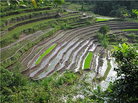 dự đoán kết quả lô đề hôm nay