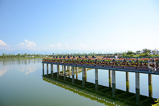 soi cau bach thu lo de