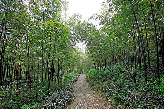 kết qua xsmb