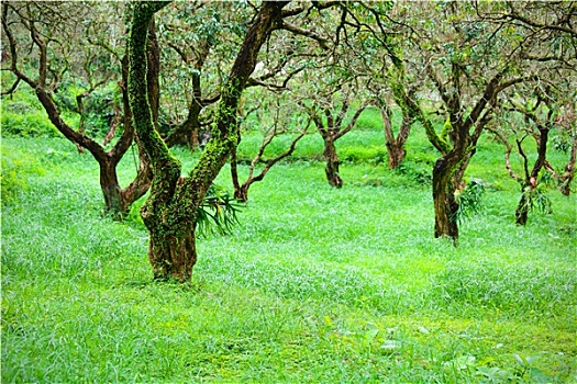 xổ số thần tài miền nam