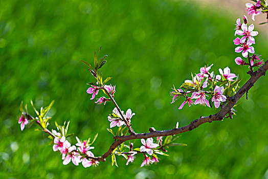 cách tính lô đề miền nam