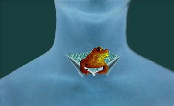 soicaurongbachkim 666