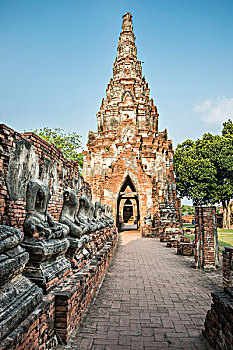 soi cau bach thu lo mien bac tag