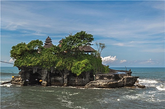 soi cau bach thu lo de