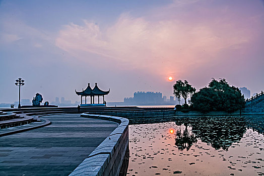 soi cau bach kim
