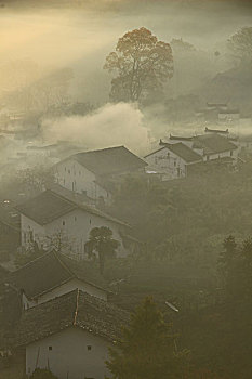 soi cau vip binh dinh