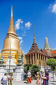soi câu mien phi