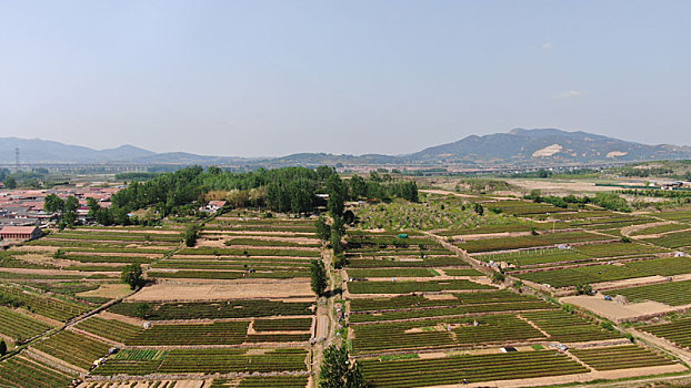 soi cau mb sieu chuan