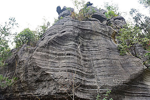 bach thu lo khung 5 ngay