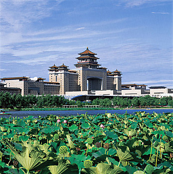 dàn đề siêu chuẩn
