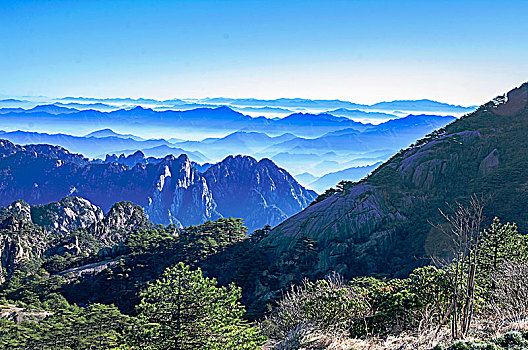 cau lo rong bach kim