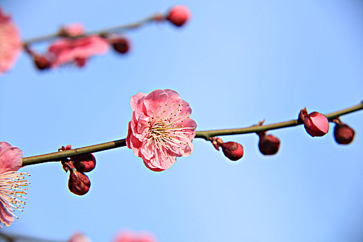 xổ số thành phố thứ bảy