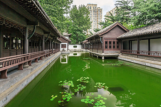 sô xô miên bac