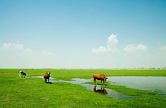 dự đoán kqxs
