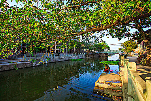 soi cau rong