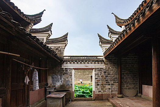 soi cau mien bac 24h
