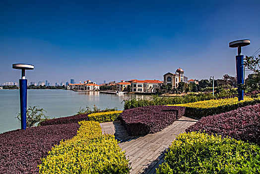 soicau888 rongbachkim