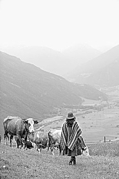 soi cau du doan xs 3 mien