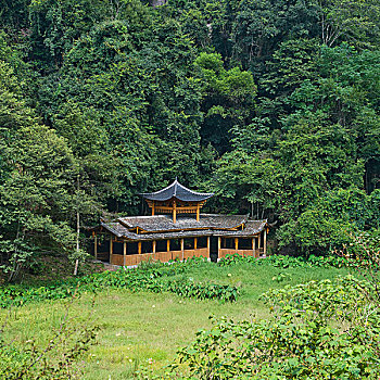 www soi cau bach thu