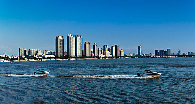 lô gan miền nam