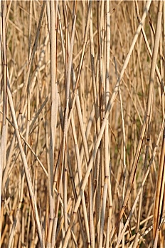 soi cầu miền bắc 366