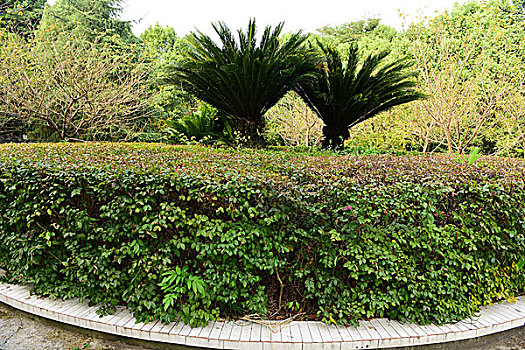 xổ số minh ngọc thứ hai