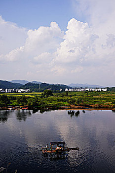 bạch thủ đề hôm nay con gì