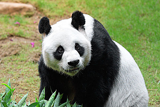 xổ số miền nam thứ tư hàng tuần