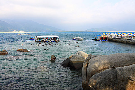 xs quang tri