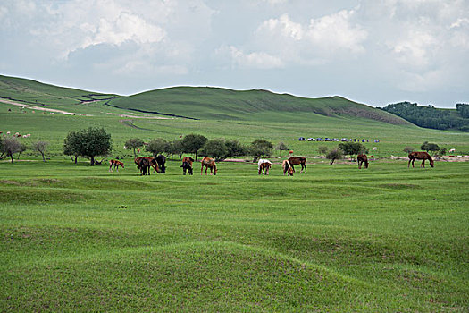 xổ số mẹ
