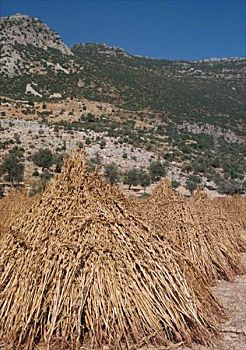 xổ số an giang ba đài