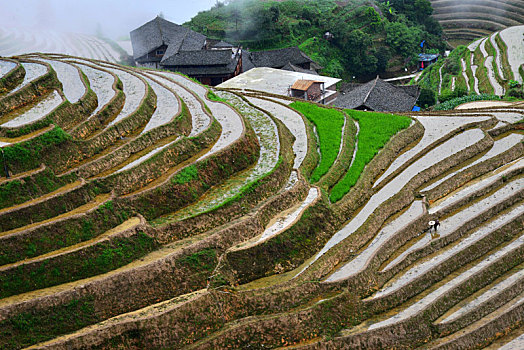 soi cầu đề chuẩn