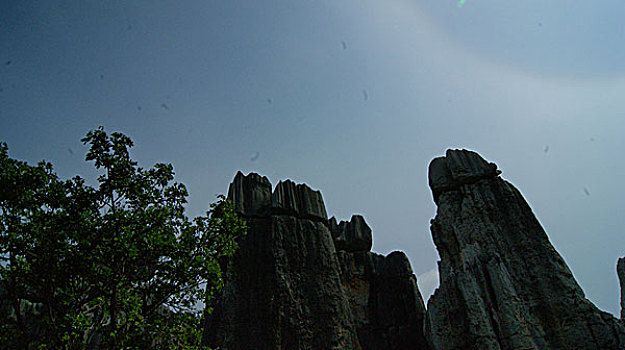 soi cầu 247 hôm nay