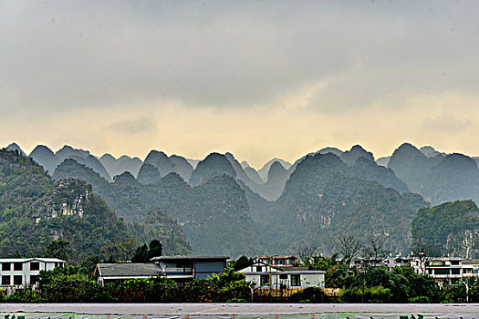 soi bạch thủ lô